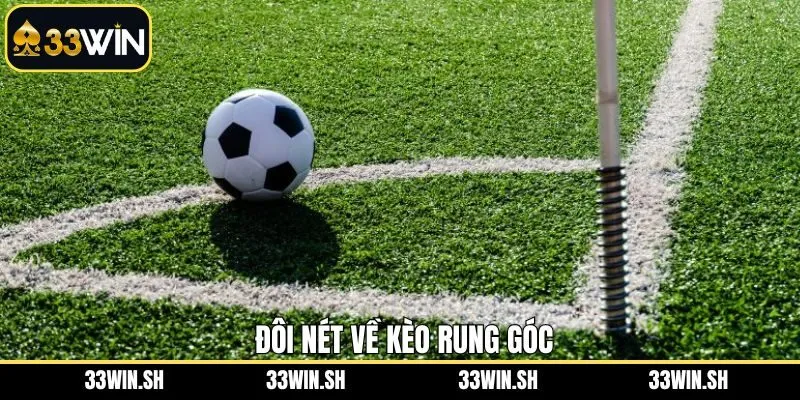 Vài nét về loại hình cược rung góc hấp dẫn