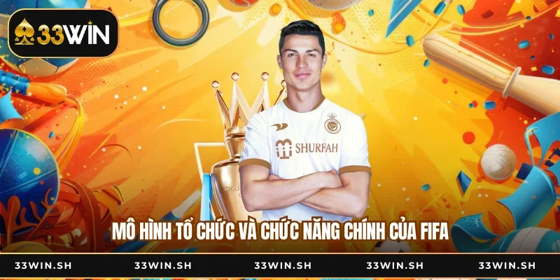 Mô hình tổ chức và chức năng chính của FIFA