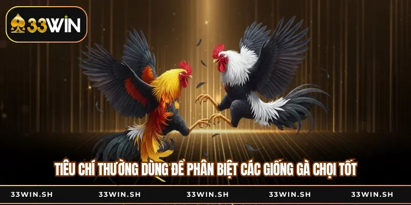 Tiêu chí thường dùng để phân biệt các giống gà chọi tốt