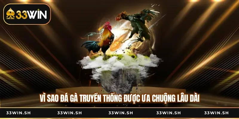 Vì sao đá gà truyền thống được ưa chuộng lâu dài